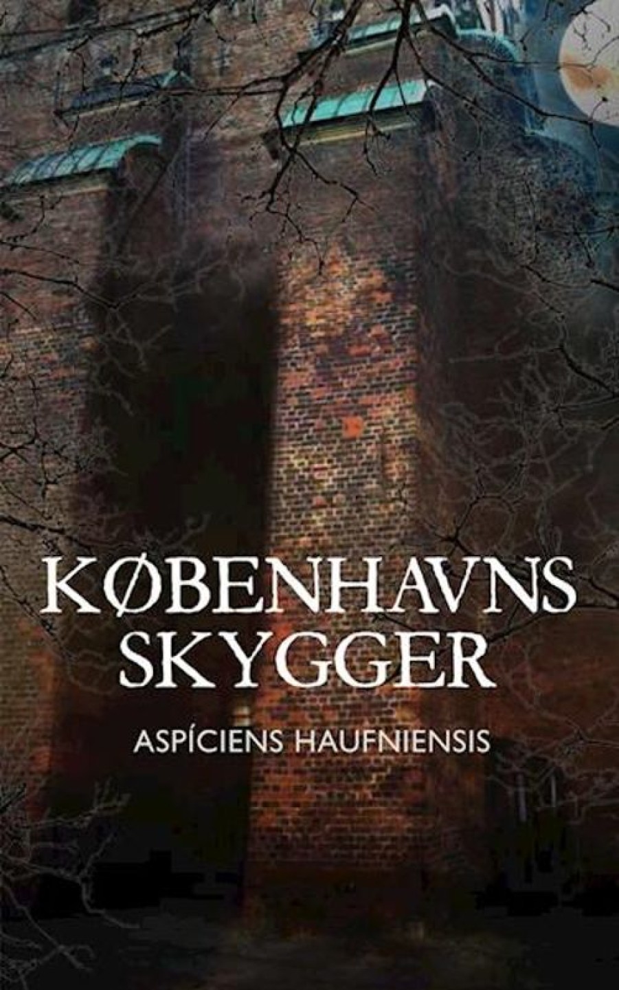 Fantasy & Science Fiction Ulven og Uglen | Kobenhavns Skygger Bog