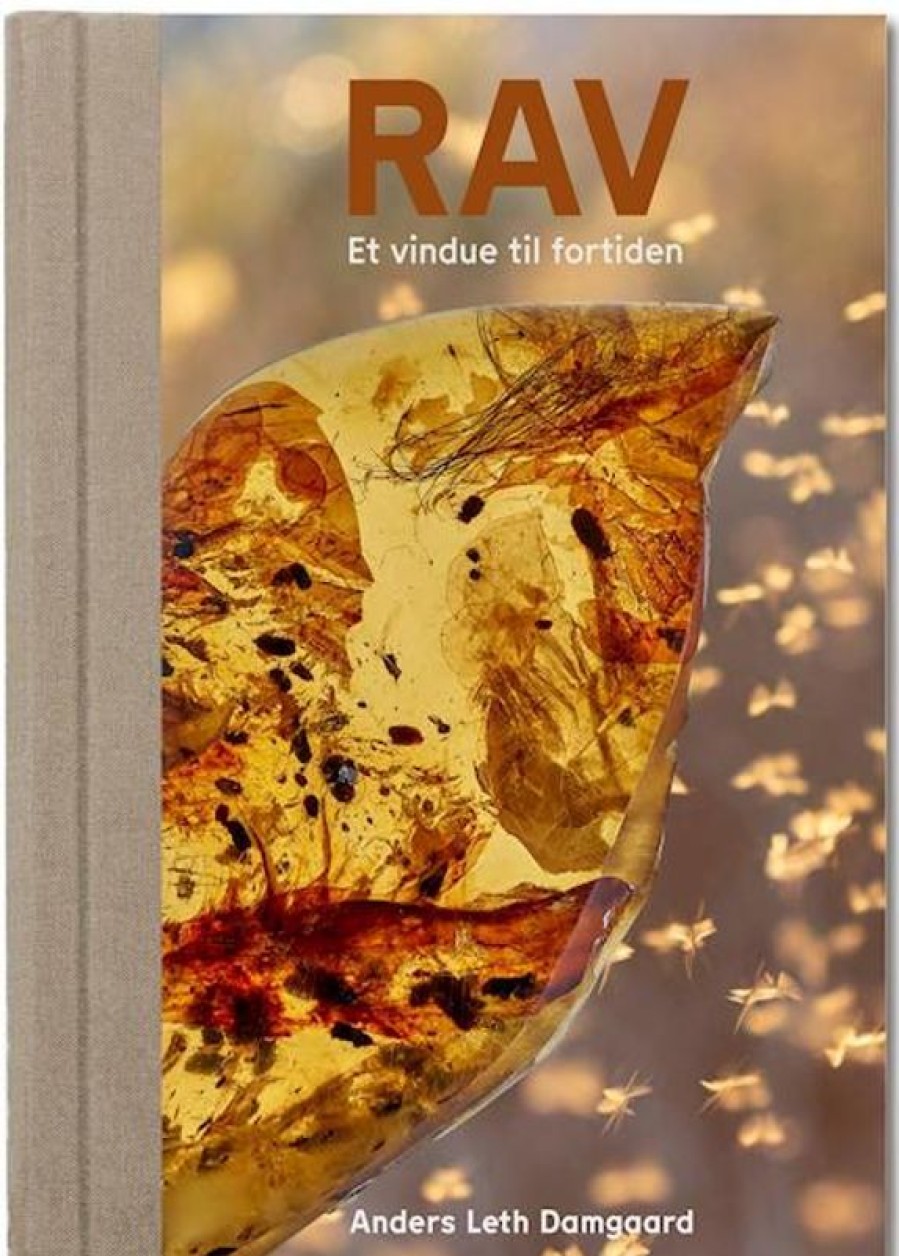 Moderne Skonlitteratur EG Artwork Forlag | Rav - Et Vindue Til Fortiden Bog