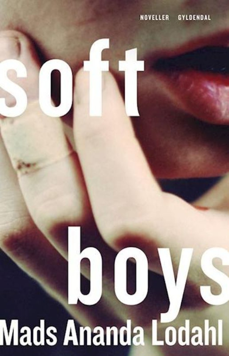 Moderne Skonlitteratur Gyldendal | Soft Boys Bog