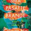 Moderne Skonlitteratur Hr. Ferdinand | Sma Pasatte Brande- Roman Bog