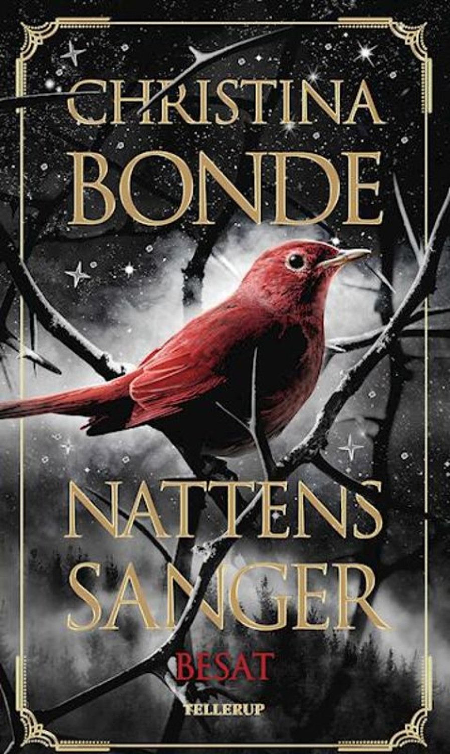 Fantasy & Science Fiction Tellerup A/S | Nattens Sanger #1: Besat E-Bog