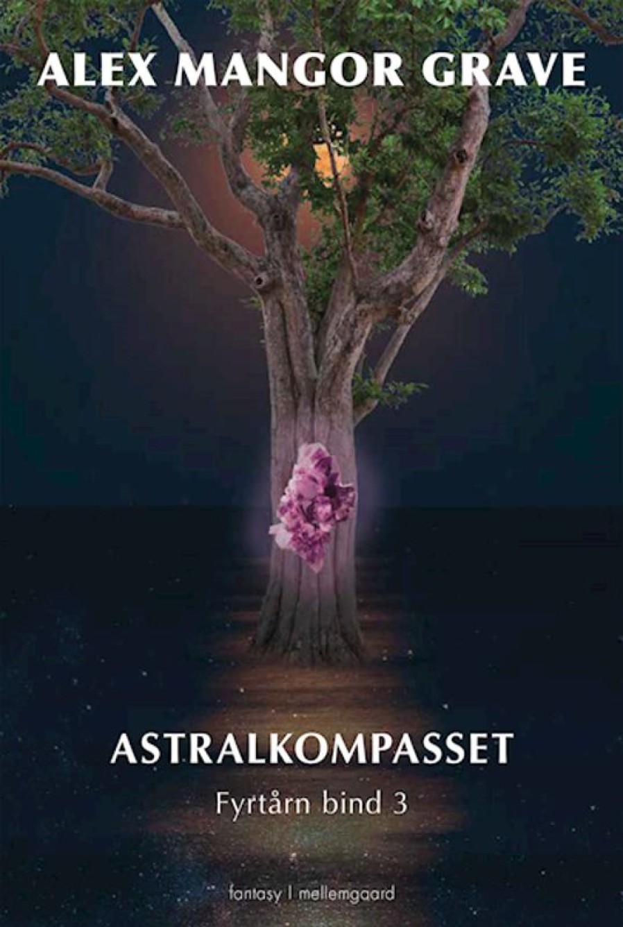 Fantasy & Science Fiction Forlaget mellemgaard | Astralkompasset Bog