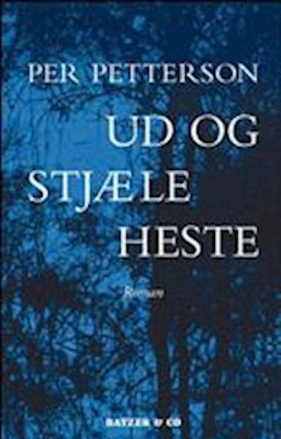 Moderne Skonlitteratur Batzer & Co. | Ud Og Stjaele Heste- Roman Bog